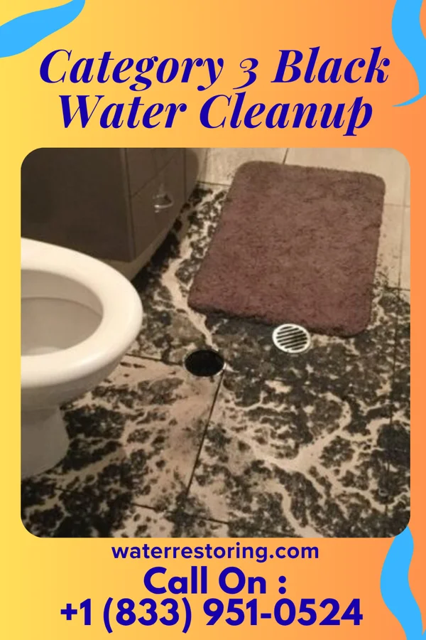 Category 3 Black Water Cleanup in Yoder, WY